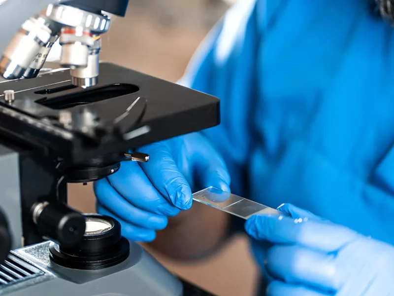 Biomedical Research Imaging